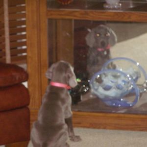 Meet your Posher, Lisa